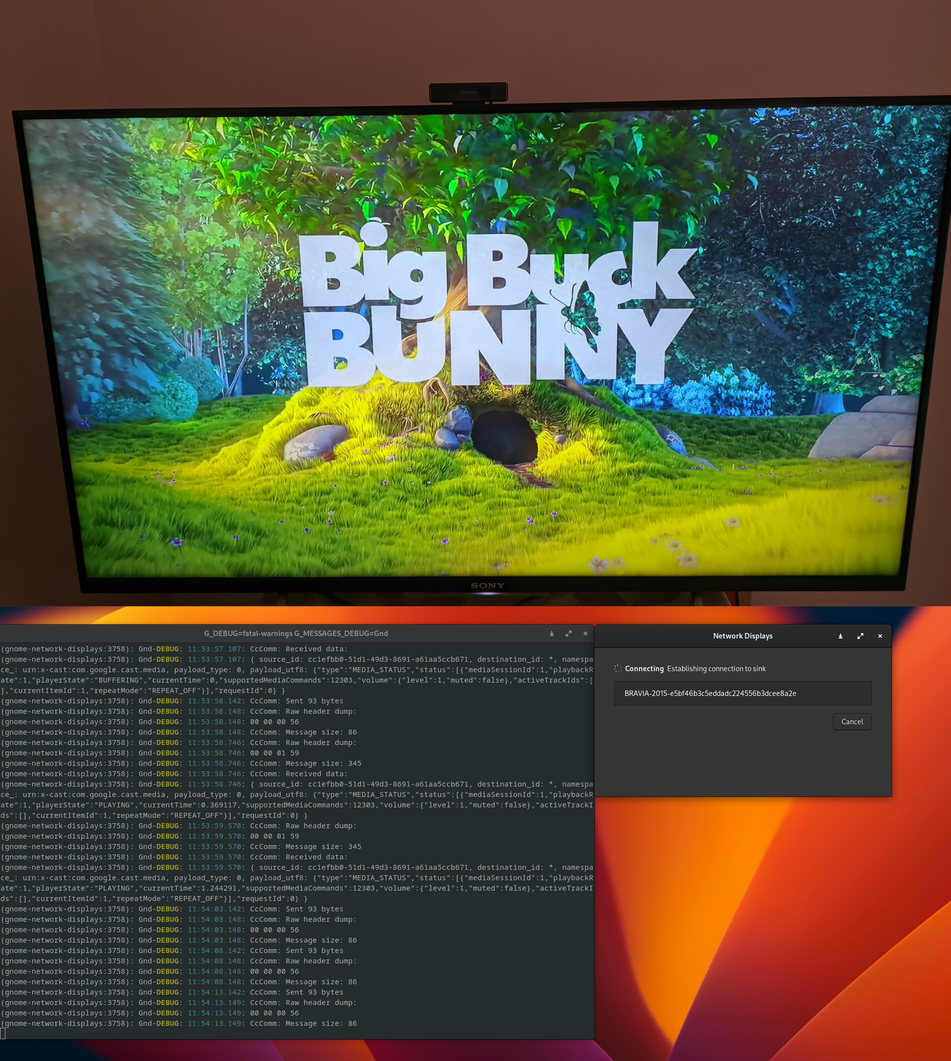 Big Buck Bunny clip playing on my TV (Chromecast built-in) and the GNOME Network Displays app
